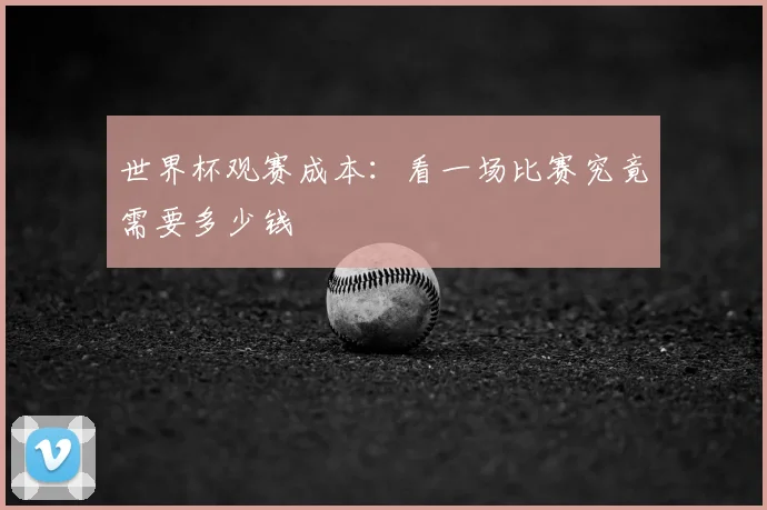 世界杯观赛成本:看一场比赛究竟需要多少钱