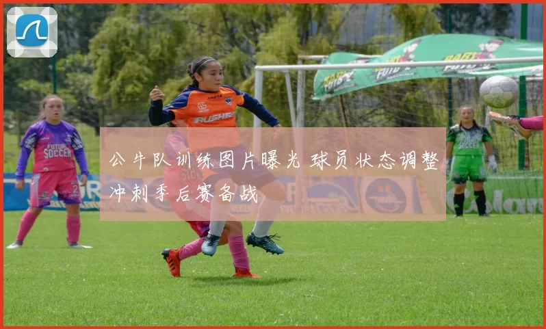 公牛队训练图片曝光 球员状态调整冲刺季后赛备战