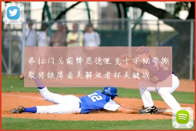 弗拉门戈前锋恩德里克十字韧带撕裂将缺席南美解放者杯关键战