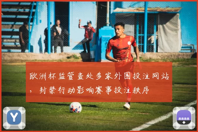 欧洲杯监管查处多家外围投注网站，封禁行动影响赛事投注秩序