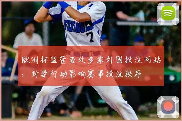 欧洲杯监管查处多家外围投注网站，封禁行动影响赛事投注秩序