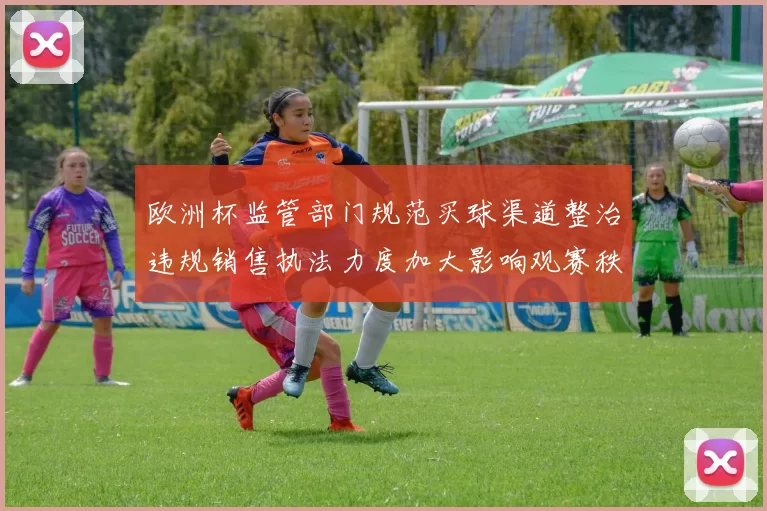 欧洲杯监管部门规范买球渠道整治违规销售执法力度加大影响观赛秩序